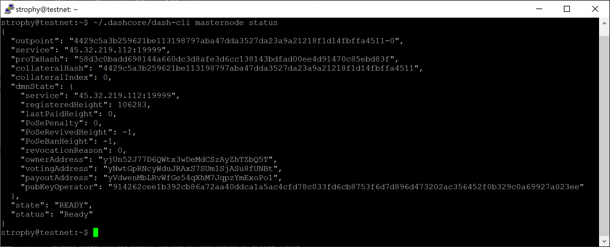 ../_images/setup-dash-cli-start.png