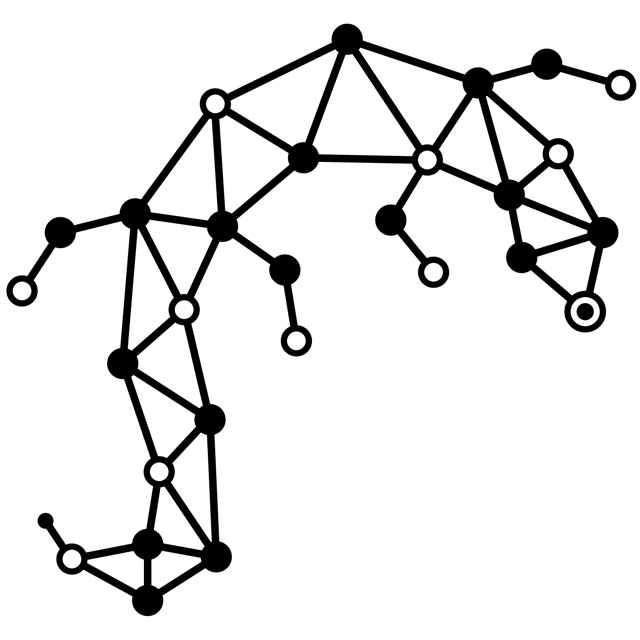../_images/salamantex.png